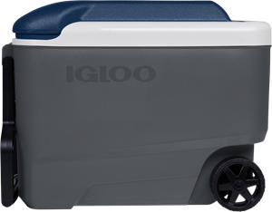 Igloo Maxcold 40R