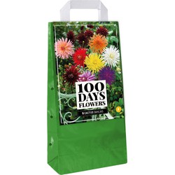 Jub Draagtas bollen dahlia cactus mix bloembol - 