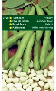 Tuinplus Tuinbonen Witkiem 250 gram - 