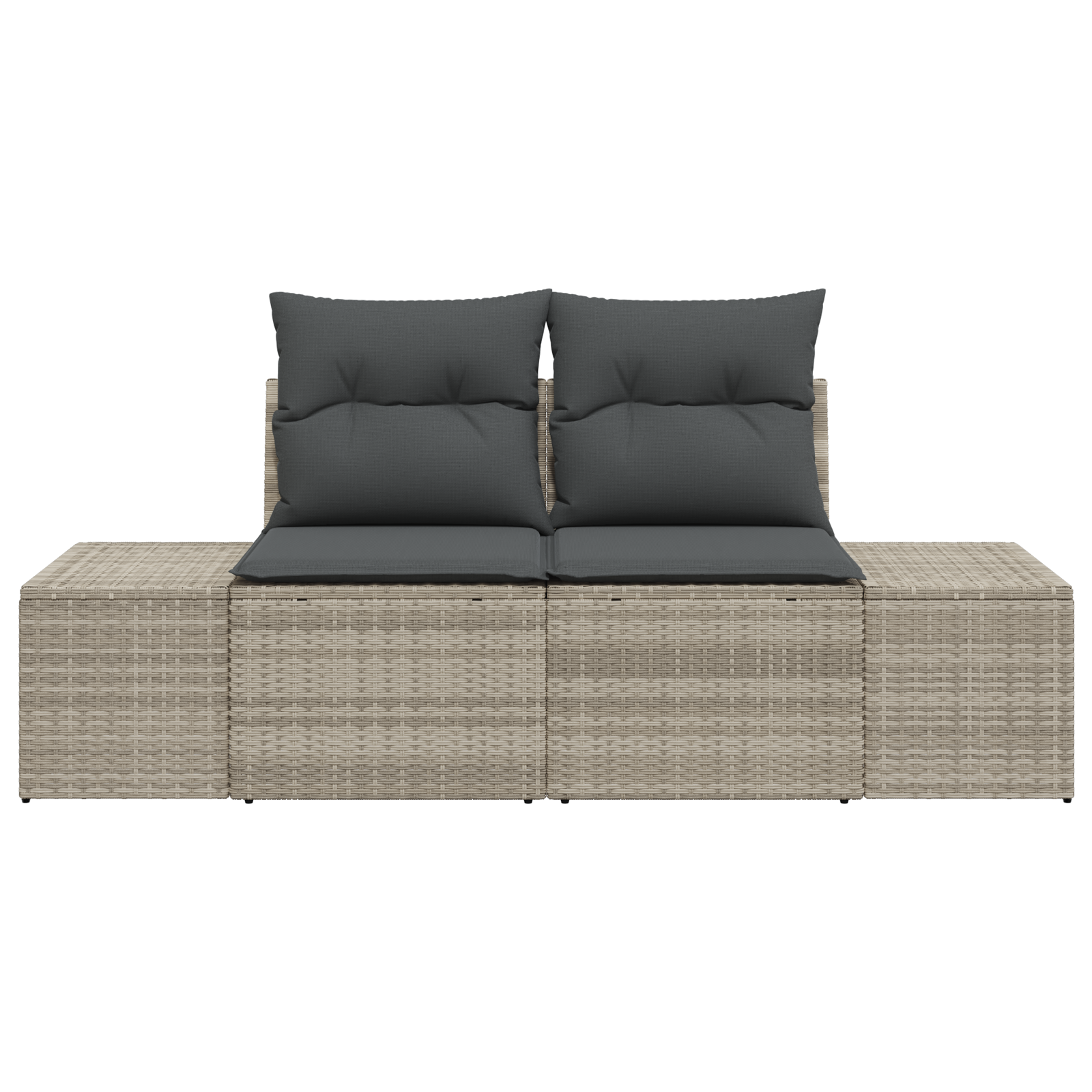 vidaXL Tuinbank 2-zits met kussens poly rattan grijs