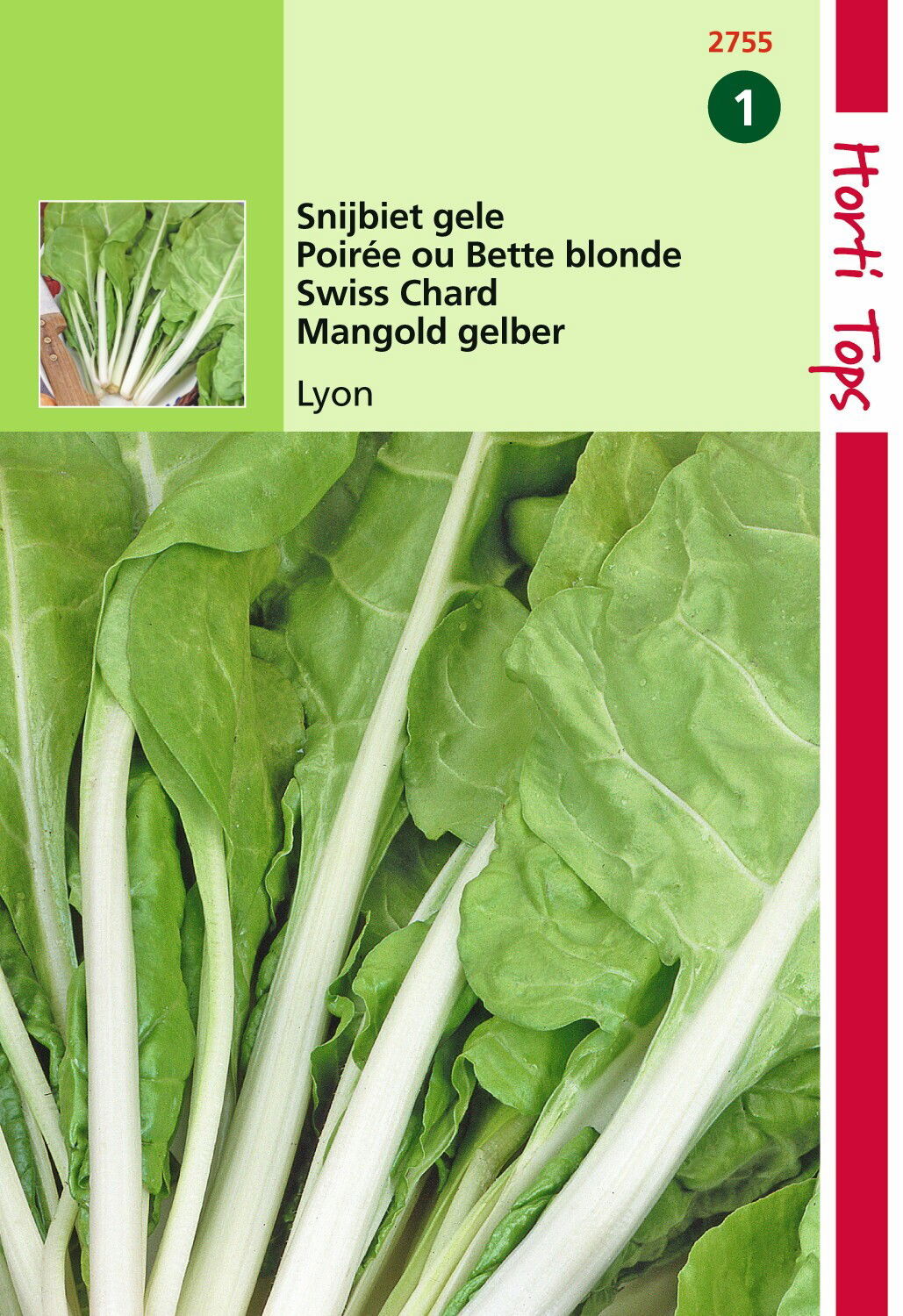 Hortitops Snijbiet Blonde A Carde Blanche Gele Witribbige 2 - 
