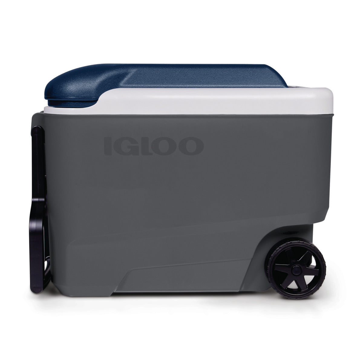 Igloo MC40R Maxcold 40R passieve koelbox