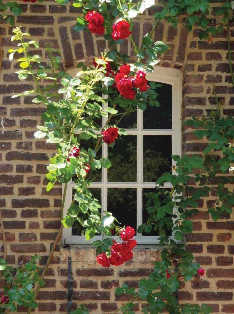Customize it Raam bloemen 50x70cm Tuinschilderij - 