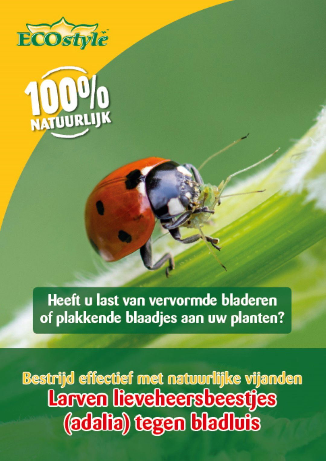 Ecostyle natuurlijke vijanden Larven lieveheersbeestje tegen bladluis 100 stuks - 