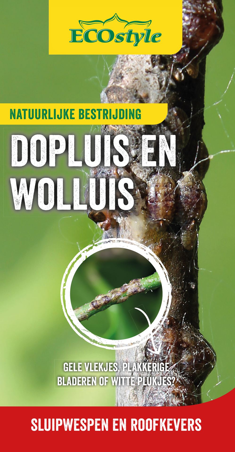 Ecostyle natuurlijke vijanden Roofkever tegen wolluis larven 25 st - 