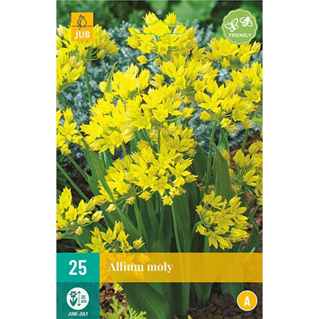 Allium moly 25 bollen