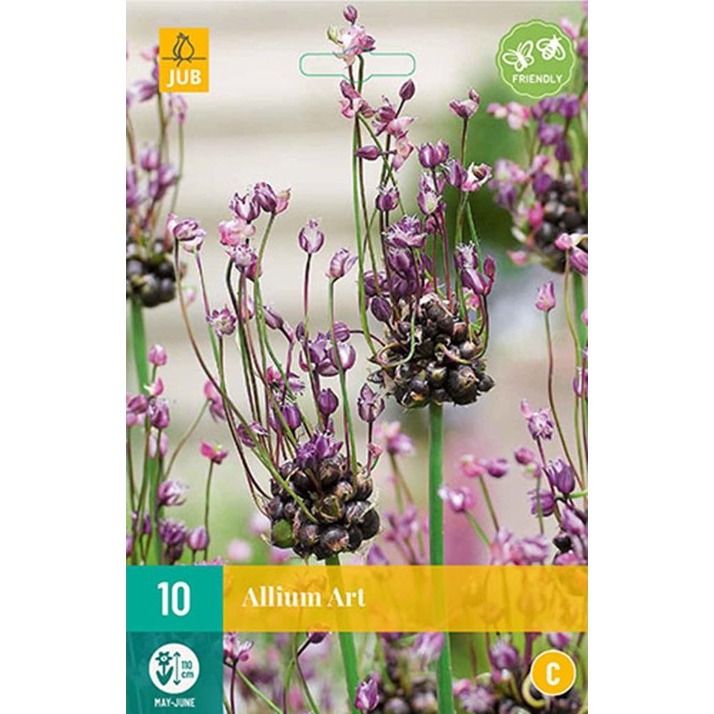 Allium art 10 bollen