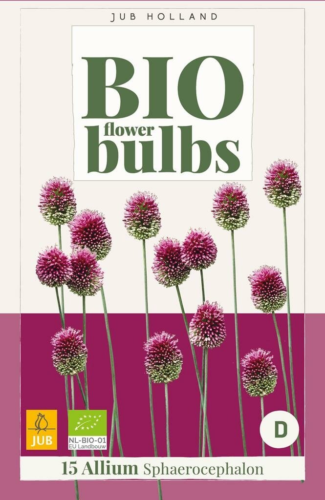 Bio allium sphaerocephalon 15 bollen