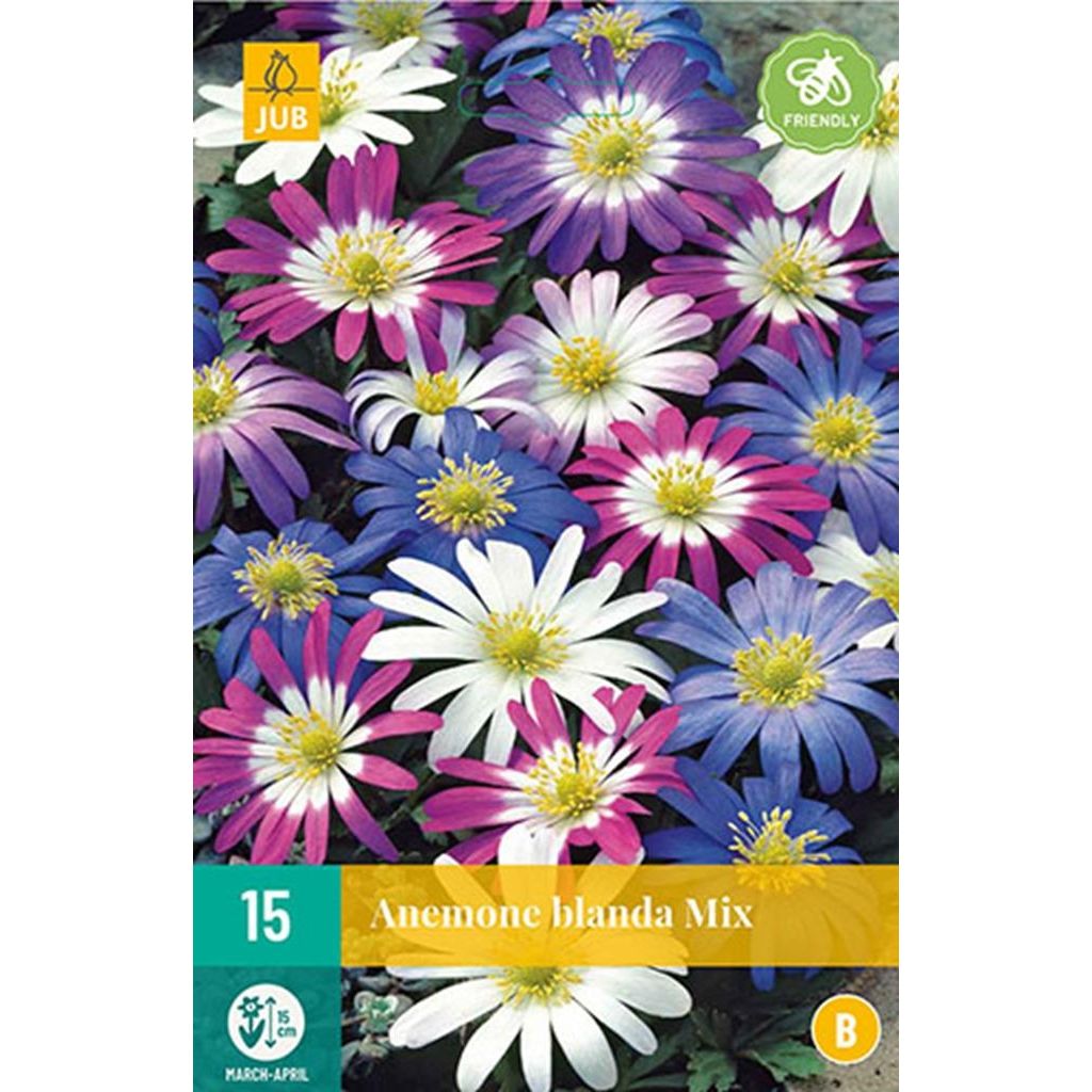 Anemone blanda mix 15 bollen