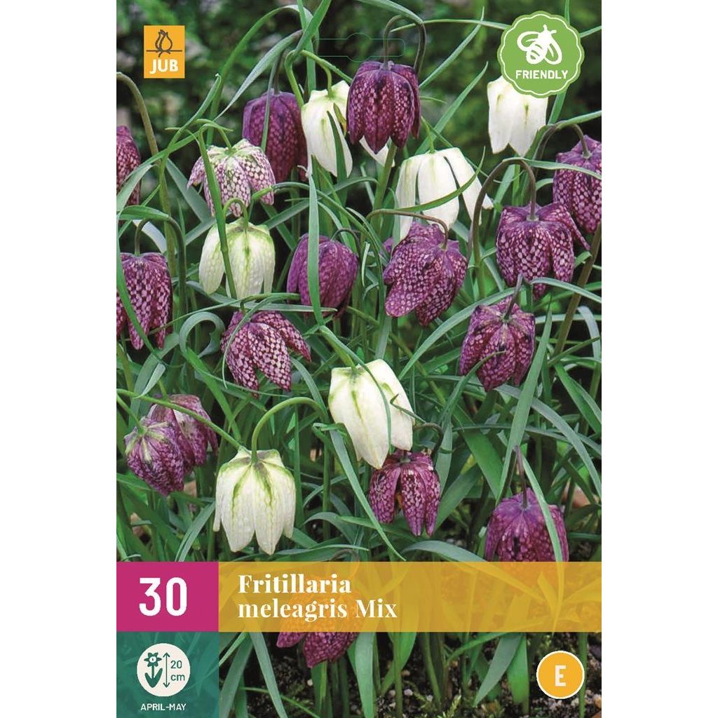 Fritillaria meleagris mix 30 bollen