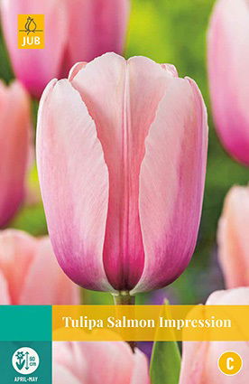Jub Tulipa Salmon Impression - 