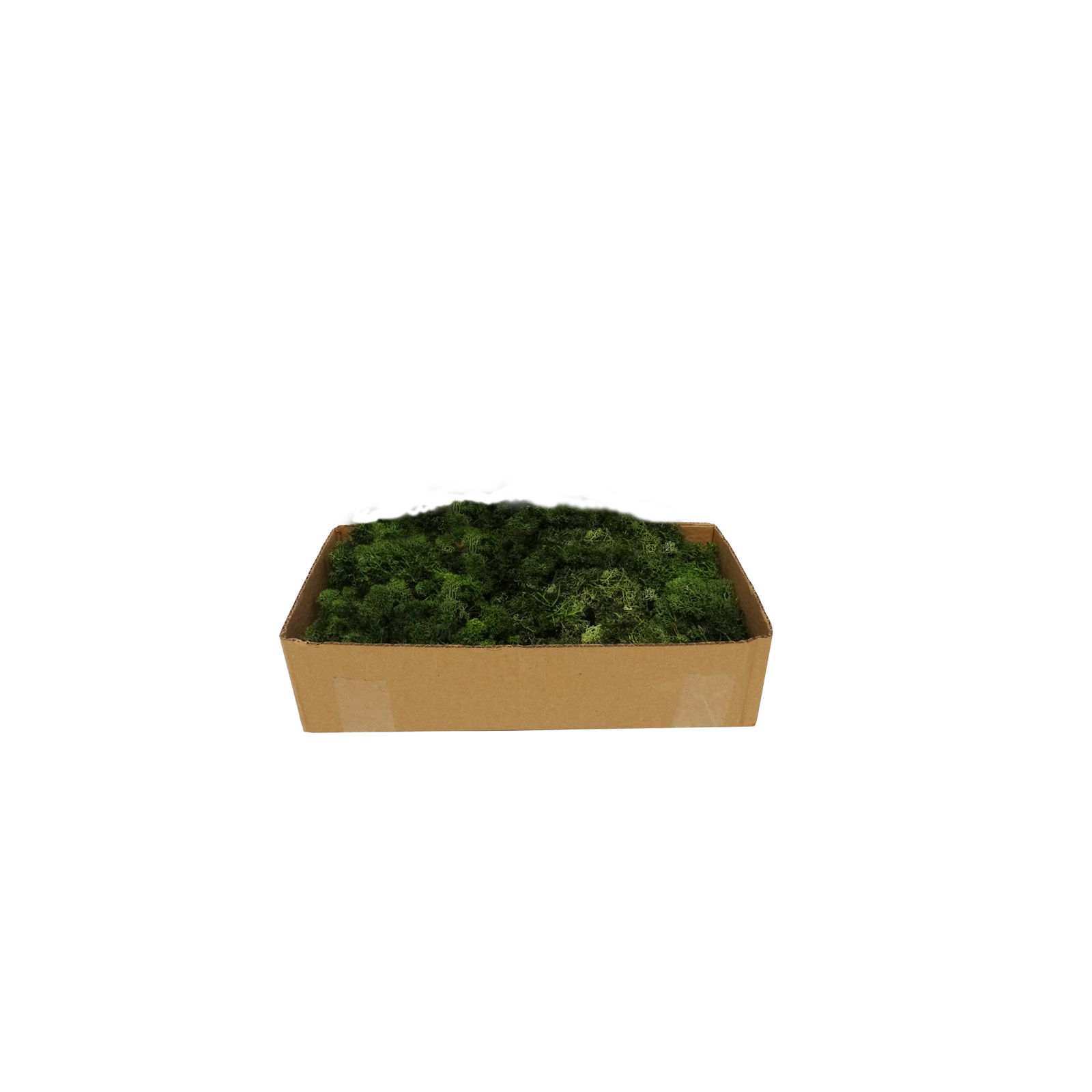 My village Rendiermos donkergroen 500g - 