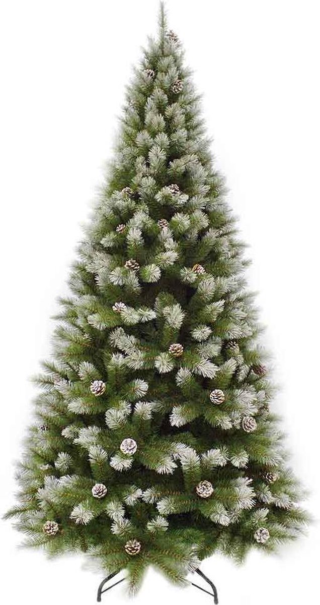 Christmas house Pittsburgh kerstboom dennenappel I - 