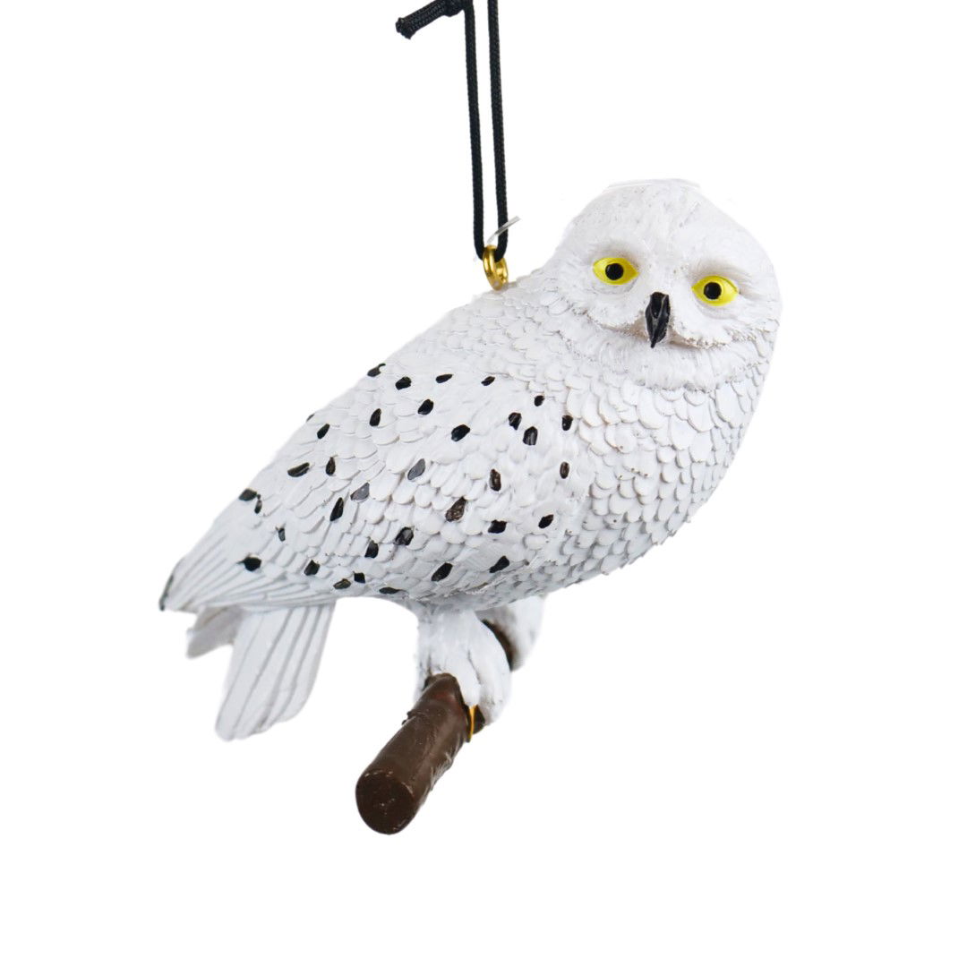 Warner bros 3D Ornament Hedwig 9x7x4 cm kerstornament - 