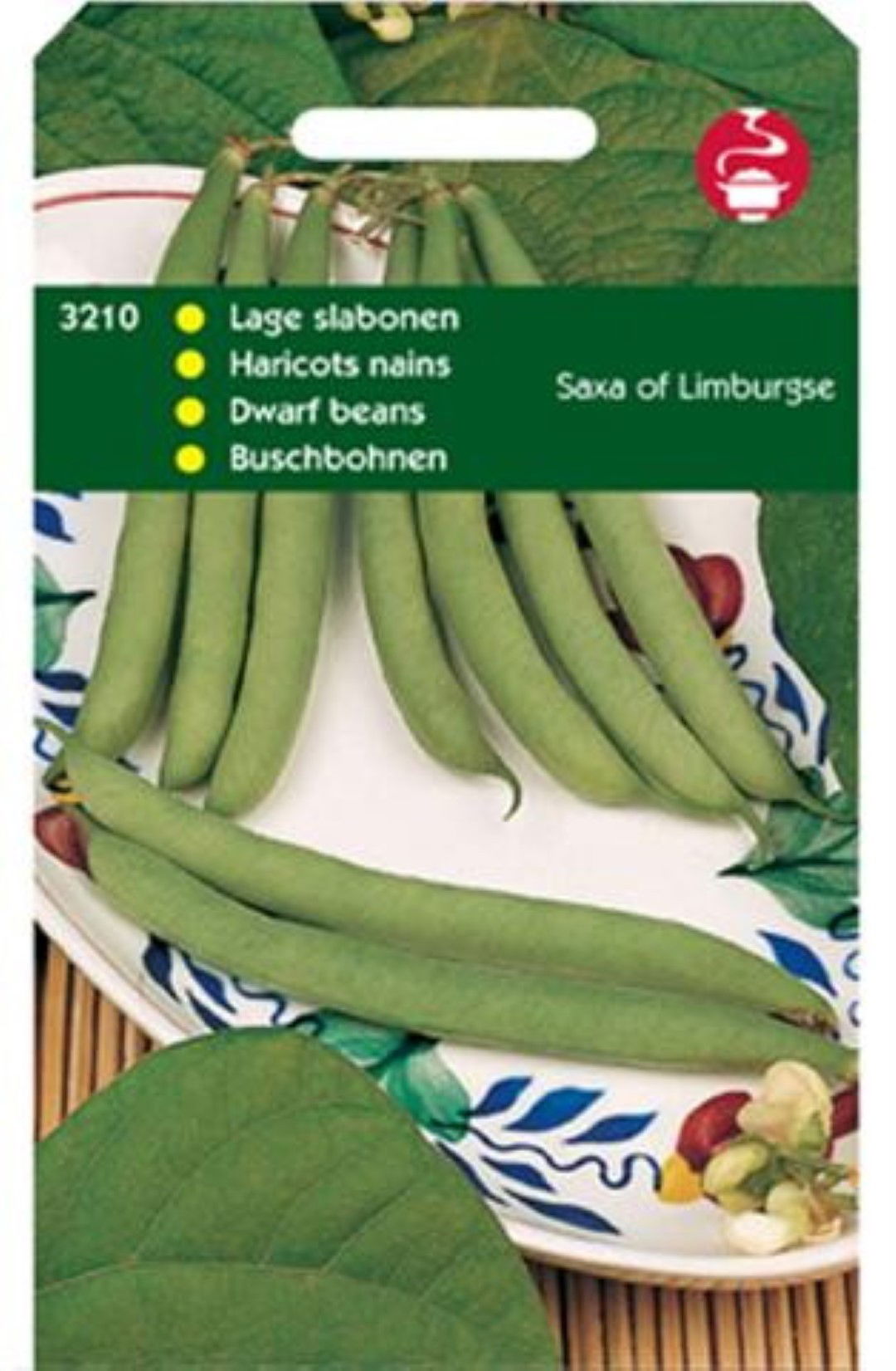 Tuinplus Stam (Lage) Slabonen Saxa of Limburgse - 