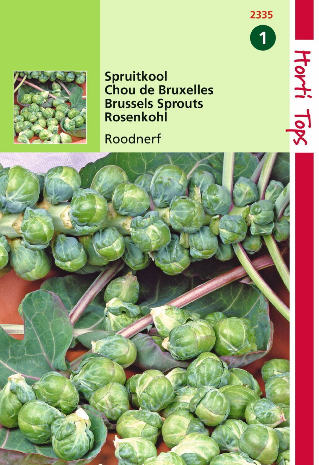 Hortitops Zaden Spruitkool Roodnerf  - 