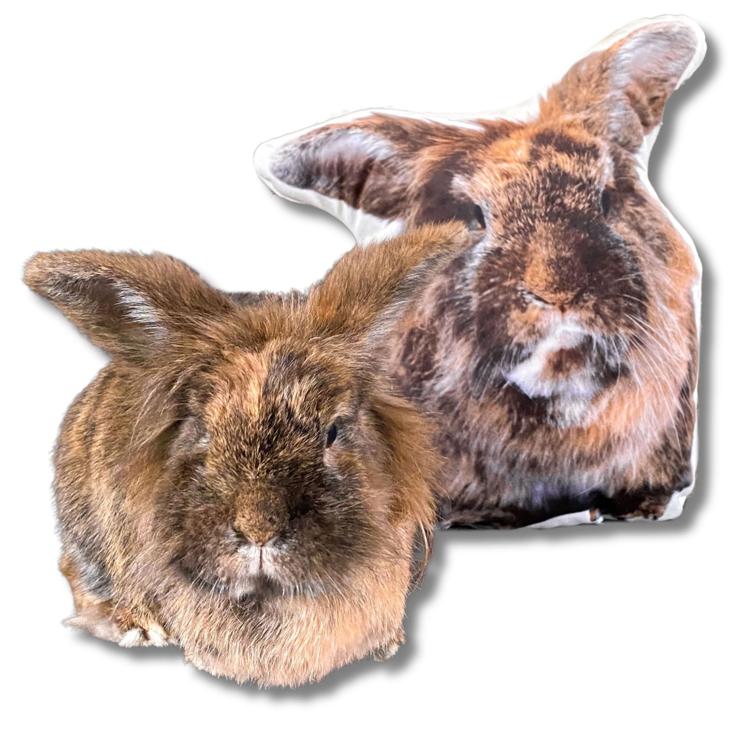 Pillowbuddies Konijnen Kussen - kussen met foto - Pillow Buddies