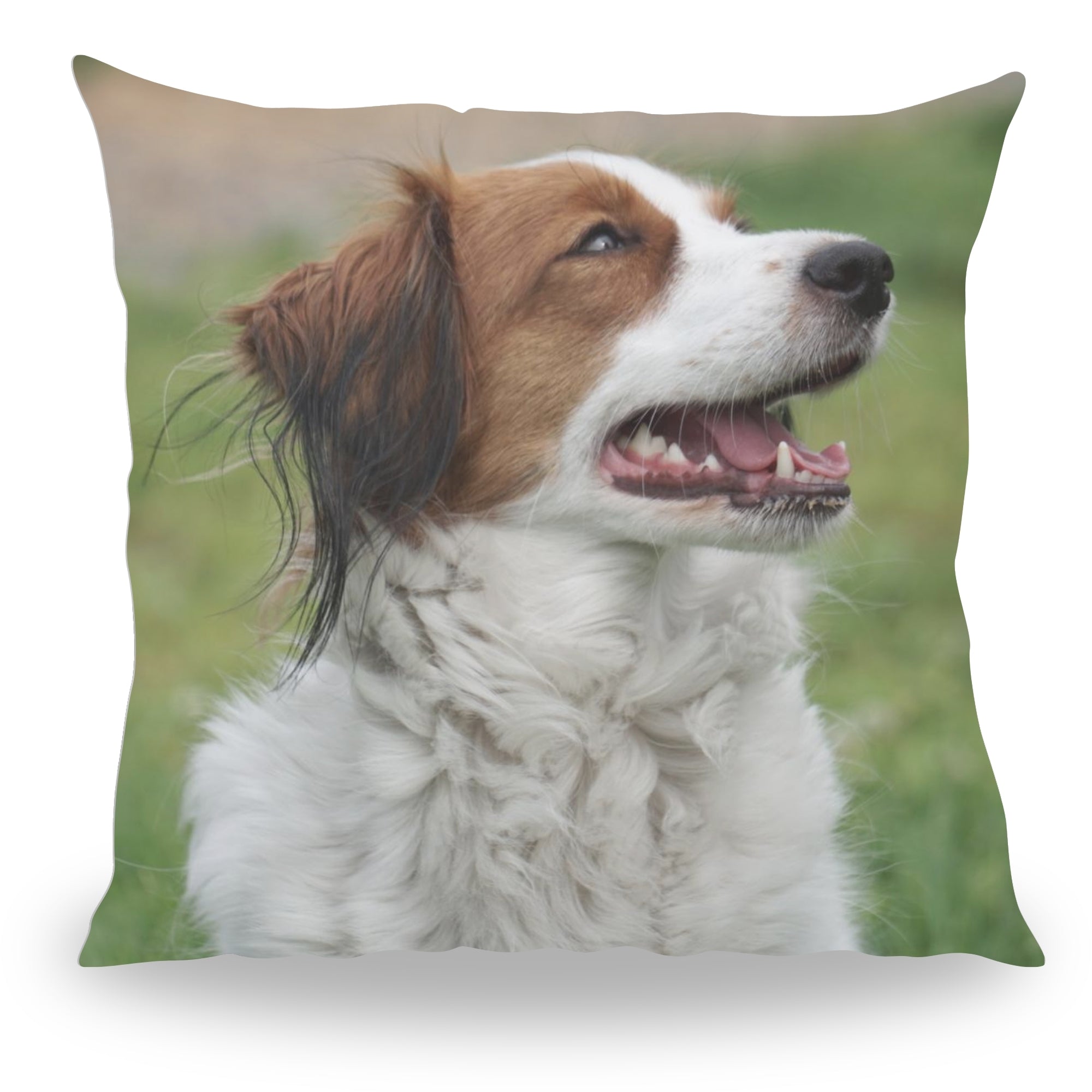 Pillowbuddies Volledig bedrukt kussen - Pillow Buddies