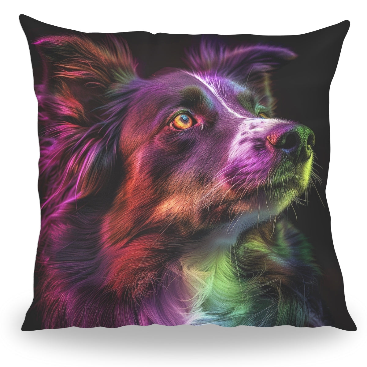 Pillowbuddies Kussen - Huisdier Portret - Border Collie 1 Color - Pillow Buddies