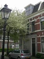 Rechtstreeks bij verhuurder B&B Apartment Kanne - Nederland - Utrecht - Utrecht