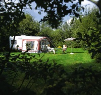 Rechtstreeks bij verhuurder Camping D`olde Kamp - Nederland - Drenthe - Ansen