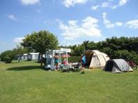 Minicamping Het Koolswegje - Nederland - Zeeland - Cadzand