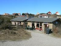 Grutto - Nederland - Terschelling - Midsland Aan Zee