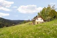 chalet.nu Schröllhütte - Oostenrijk - Karinthië - Sankt Andrä- 6 persoons