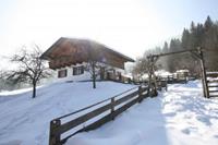 chalet.nu Pehambauer - Oostenrijk - Salzburgerland - Hüttau- 6 persoons