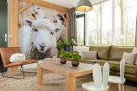 molke.nl 6-persoons kinderbungalow | Thema: Boerderij - Nederland - Overijssel - Zuna