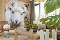 Bungalow.Net 5-person baby & children's bungalow - Nederland - Zuna
