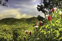 dagboekreizen.nl Individuele rondreis Costa Rica