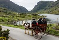 bbi-travel Killarney jaunting car tours