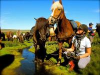 bbi-travel Paardrijden vanuit Myvatn of Husavik