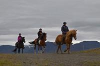bbi-travel Paardrijden vanuit Varmahlid