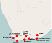 Afrikaplus.nl Best of the Cape (17 dagen) - Zuid-Afrika - Westelijk Zuid-Afrika - Kaapstad