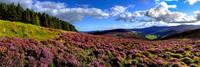 HouseOfBritain.nl Wandelen langs de Wicklow Way - Ierland - Ierland: oosten