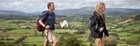 HouseOfBritain.nl Wandelen langs de Wicklow Way - Ierland - Ierland: oosten