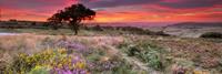 HouseOfBritain.nl Prachtig Kent & Isle of Wight - Engeland - Engeland: zuidoosten