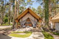 Chalet.nu Resort Hoge Kempen 4 - België - Limburg - Zutendaal