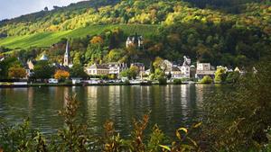 Traveldeal.nl Hotel Goldene Traube - Duitsland - Traben-Trarbach - Traben-Trarbach