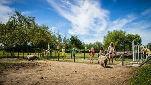 Bungalow.Net Holidayhome - Kon. Emmaweg 26 | Vrouwenpolder 'Uitspanning Oranjezon' - Nederland - Vrouwenpolder