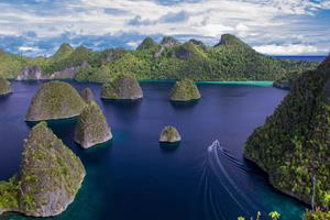 Bouwsteen 7 dagen duiken Yalapale - Misool - Raja Ampat - Indonesië - Papua - Misool