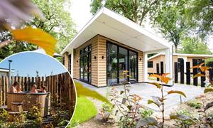 Bungalow.Net Silva for 4 Wellness (Hottub) - Nederland - Garderen
