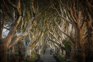 BBI-Travel 8-Daagse autorondreis Game Of Thrones Noord Ierland