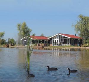 Bungalow.Net Wilgenhoeve 6 persons - Nederland - Lichtenvoorde