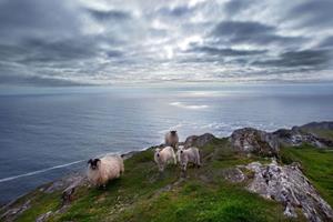 BBI-Travel 5-Daagse reis luxe kamperen Sheep`s Head Peninsula