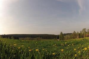 Chalet.nu Ferienhaus in Hasselfelde - Haus 31 Blauvogel - Duitsland - Saksen-Anhalt - Hasselfelde