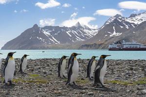 BBI-Travel 2024/25 23-Daagse Hurtigruten Ultieme expeditie naar Antarctica, Falkland eilanden en South Georgia