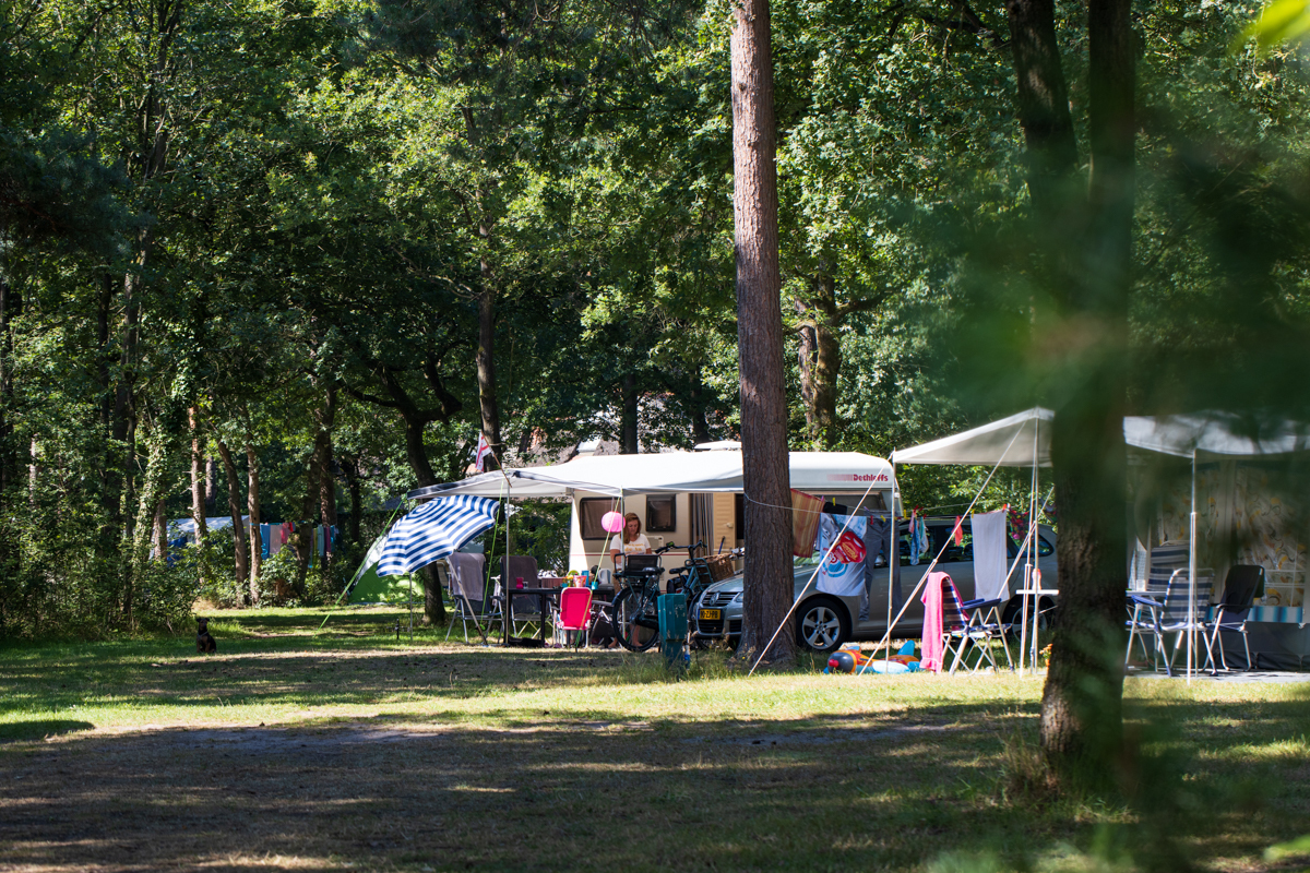 Devossenburcht.nl Bosplaats - Nederland - IJhorst